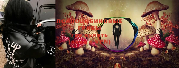 сатива Аркадак