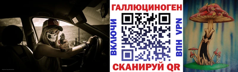 Псилоцибиновые грибы Psilocybe  Купить где  Шатура 